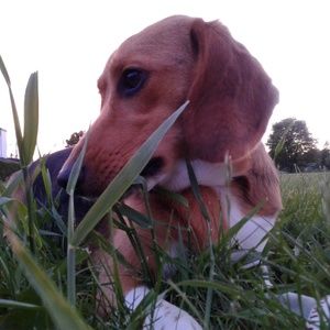 Meet your Posher, Maria